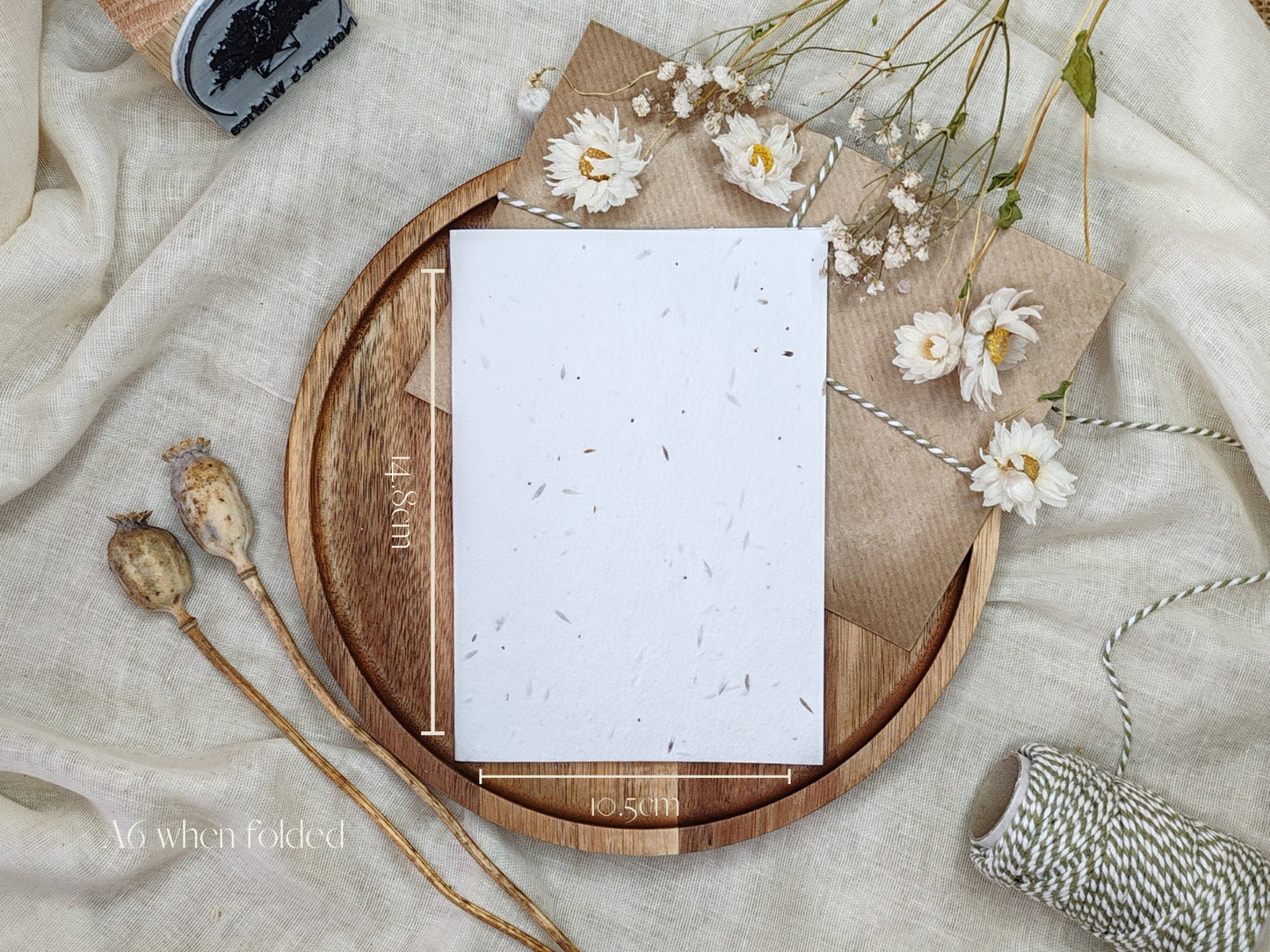 Plantable seed card for Valentine's day, We are meant to bee pun, Nature’s Wishes eco-friendly cards, Girlfriend boyfriend Wildflower love